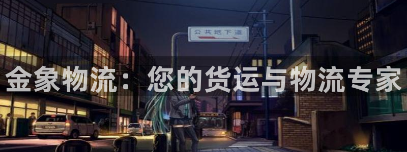 28圈充值不到账什么原因：金象物流：