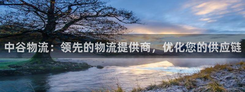 28圈平台注册：中谷物流：领先的物流