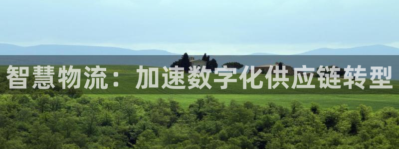 28圈加拿大走势：智慧物流：加速数字