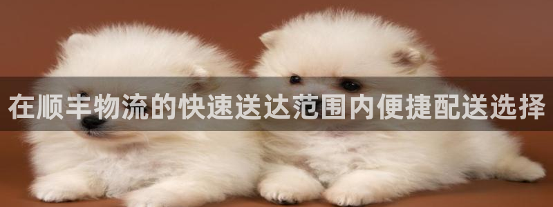 28圈新用户怎么注册：在顺丰物流的快