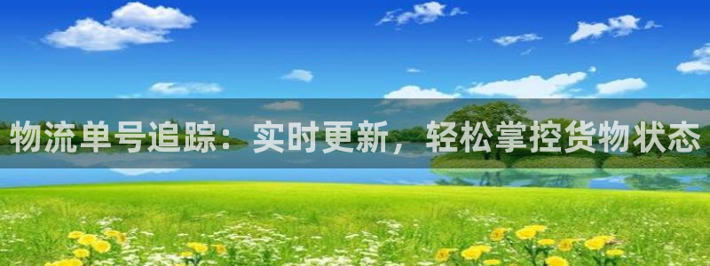 28圈违法吗：物流单号追踪：实时更新