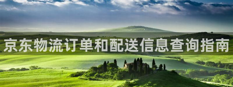 28圈官方网站
