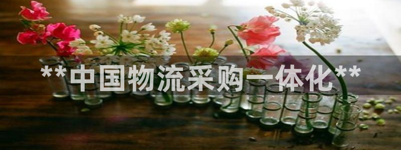 28圈注册：**中国物流采购一体化*