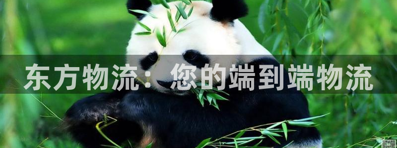 28圈提现未达5期是什么意思：东方物