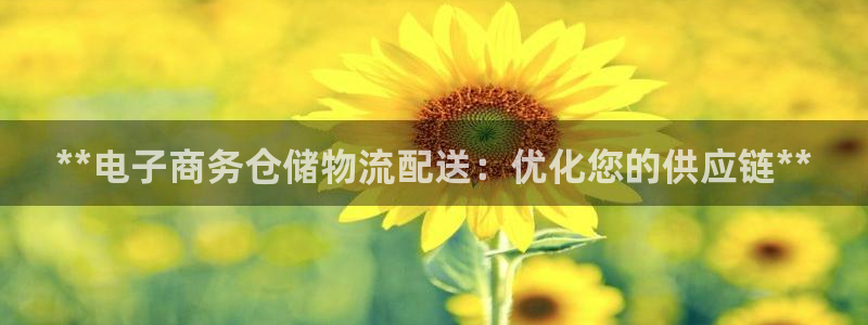 28圈模拟