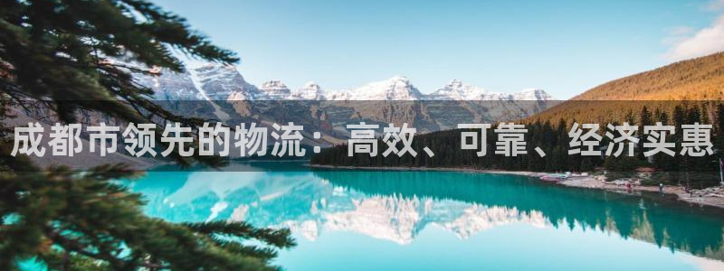 28圈官方网站预测：成都市领先的物流