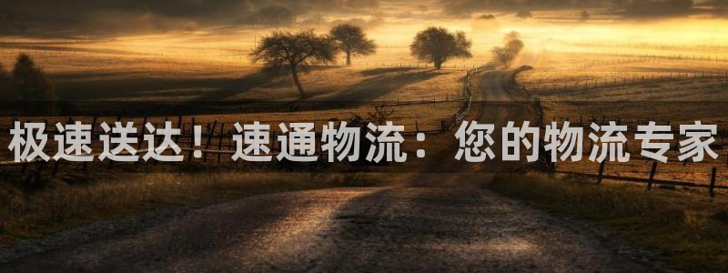 28圈怎么注册：极速送达！速通物流：