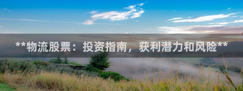 28圈代理落网：**物流股票：投资指