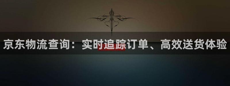 28圈现在狂杀：京东物流查询：实时追