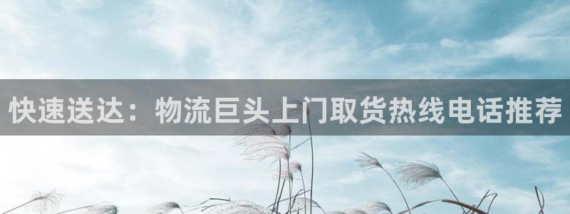 28圈注册上限是啥意思：快速送达：物