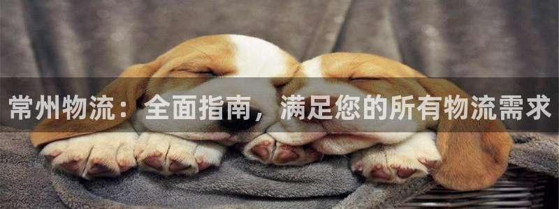 28圈游戏官网入口：常州物流：全面指