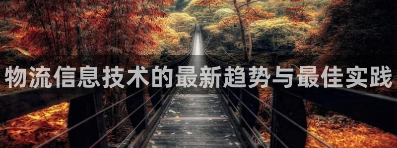 28圈加拿大最新版：物流信息技术的最