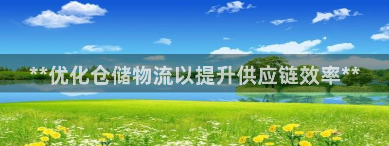 28圈注册：**优化仓储物流以提升供