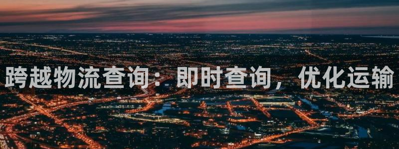 28圈取保：跨越物流查询：即时查询，