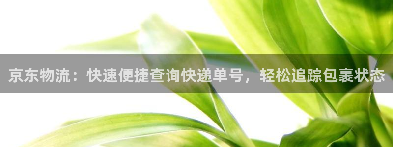 28圈吧：京东物流：快速便捷查询快递