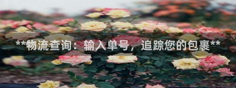 28圈PG电子游戏：**物流查询：输
