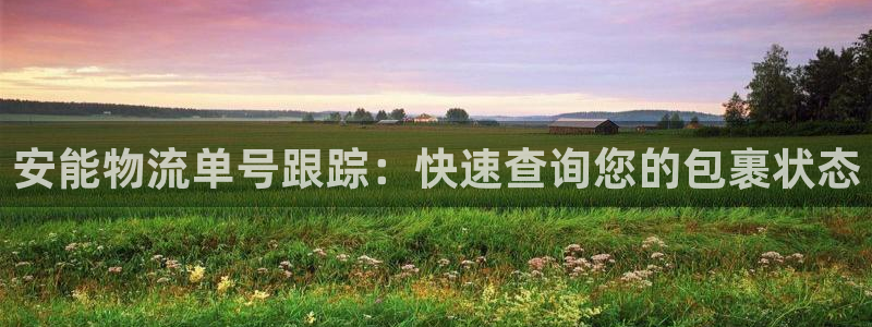 28圈官网开奖结果预测