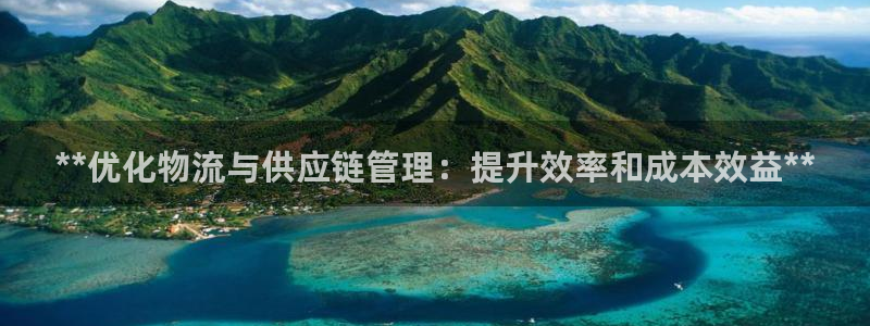 28圈账号注册：**优化物流与供应链
