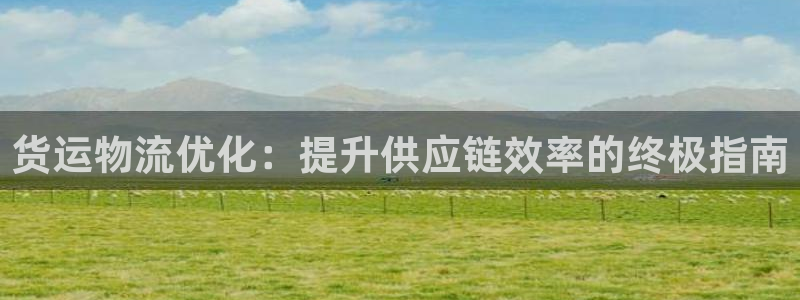 28圈游戏官网入口：货运物流优化：提