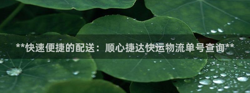 28圈官方官网：**快速便捷的配送：