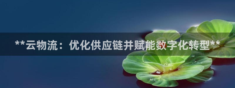28圈注册网站链接是什么：**云物流