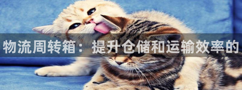 28圈初始资金密码是什么：物流周转箱