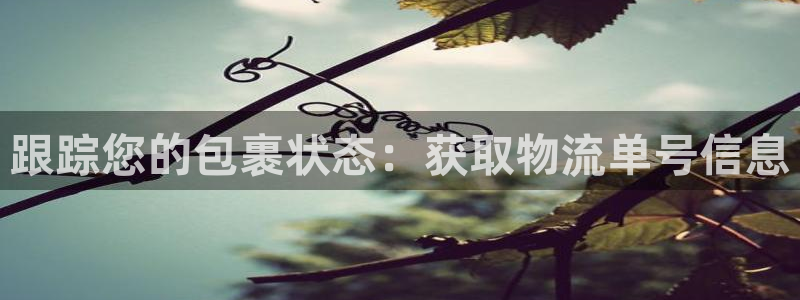28圈加拿大是什么意思：跟踪您的包裹