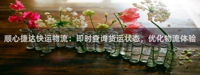 28圈网赌案件