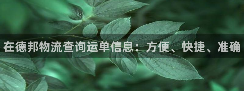28圈怎么注册账号：在德邦物流查询运