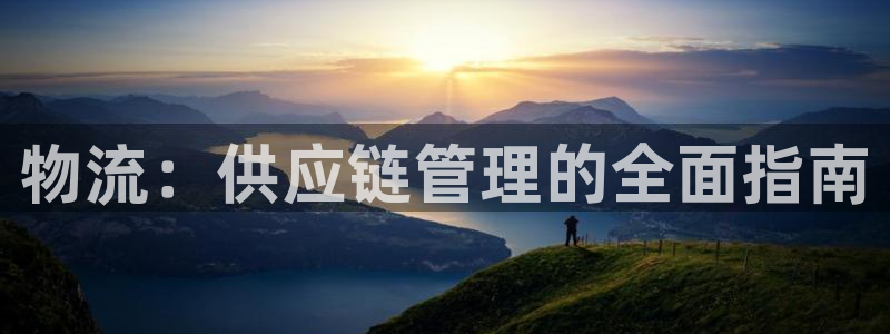 28圈模拟：物流：供应链管理的全面指