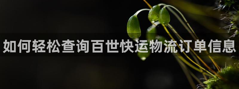 28圈犯法吗：如何轻松查询百世快运物