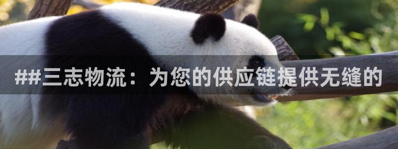 28圈官方：##三志物流：为您的供应链提供无缝的