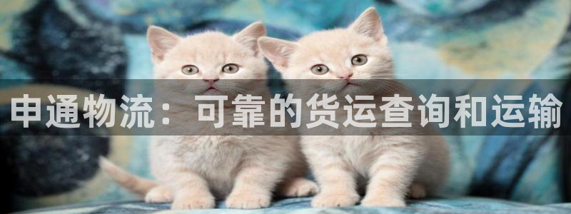 28圈忘记账号：申通物流：可靠的货运