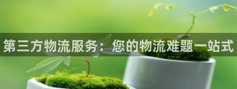 28圈注册官网：第三方物流服务：您的