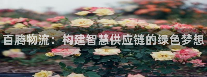 28圈比特28预测在线预测：百腾物流