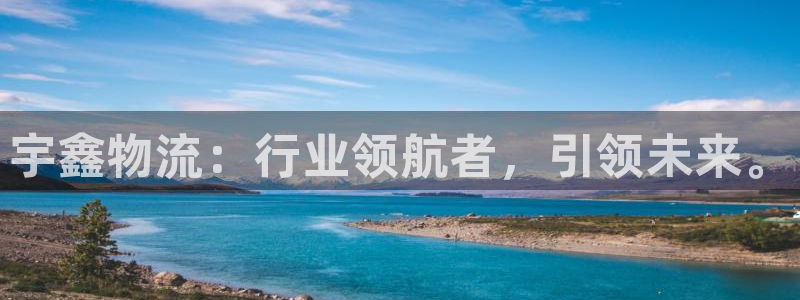 28圈：宇鑫物流：行业领航者，引领未