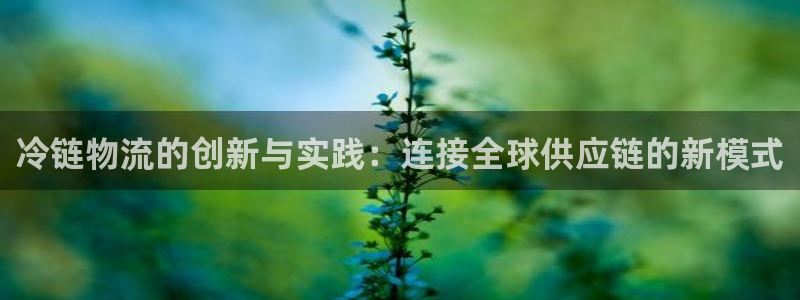 28圈怎么下载：冷链物流的创新与实践：连接全球供应链的新模式