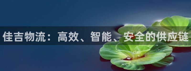 28圈h5链接：佳吉物流：高效、智能