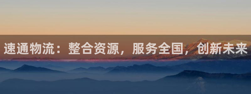 28圈平台注册：速通物流：整合资源，