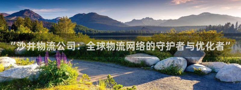 28圈退款教程：“沙井物流公司：全球