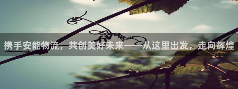 28圈口内径是多大：携手安能物流，共