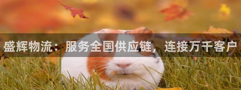 28圈加拿大下载：盛辉物流：服务全国