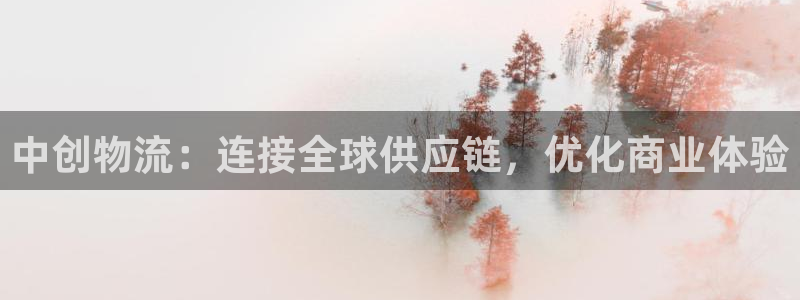 28圈官方：中创物流：连接全球供应链