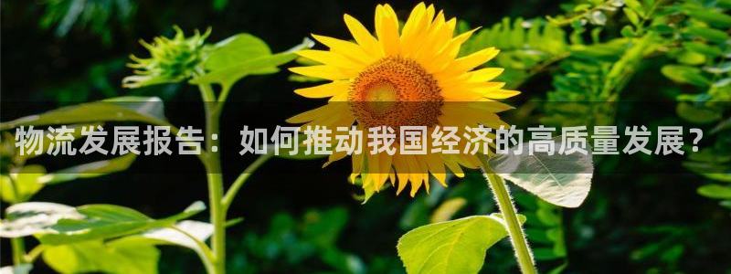 28圈充值不到账：物流发展报告：如何