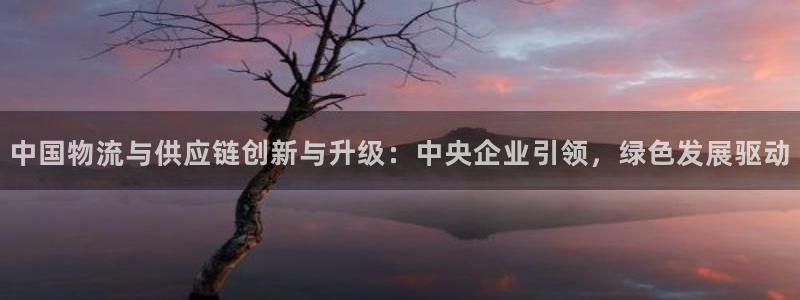 28圈注册登录流程：中国物流与供应链