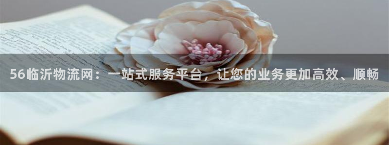 28圈如何注销账号：56临沂物流网：