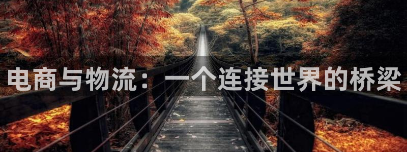 28圈p扣除是什么意思：电商与物流：