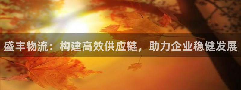 28圈.ccmpcios：盛丰物流：