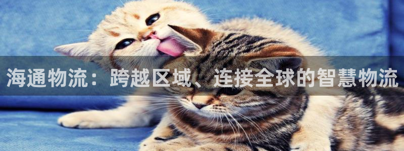 28圈官网网站：海通物流：跨越区域、