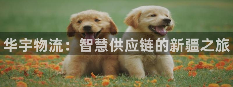 28圈官网开奖结果预测查询：华宇物流